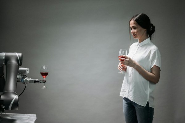 Quelles sont les différences entre une webcam et une caméra de surveillance